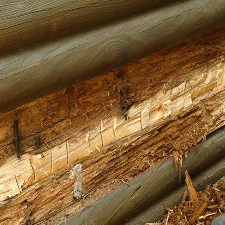 Log Replacement